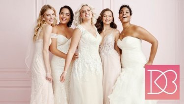 An example of the products offered by David's Bridal